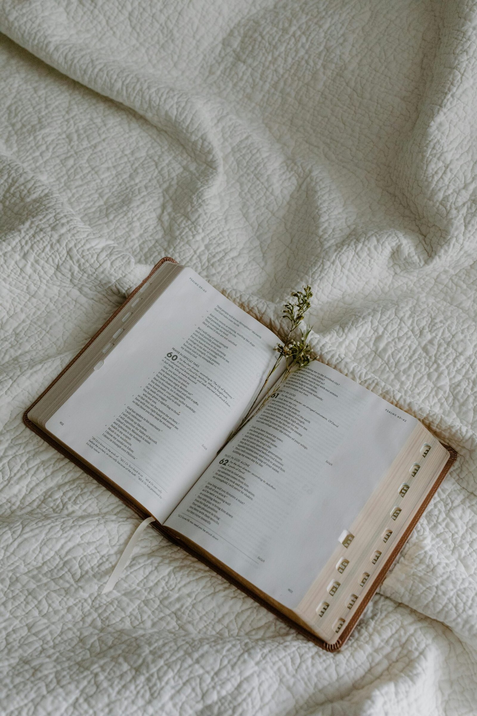 A serene image of an open Bible resting on a white quilt with a small flower accent.
